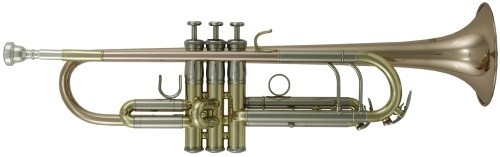 ROY BENSON B-Trompete TR-302G Pro Serie
